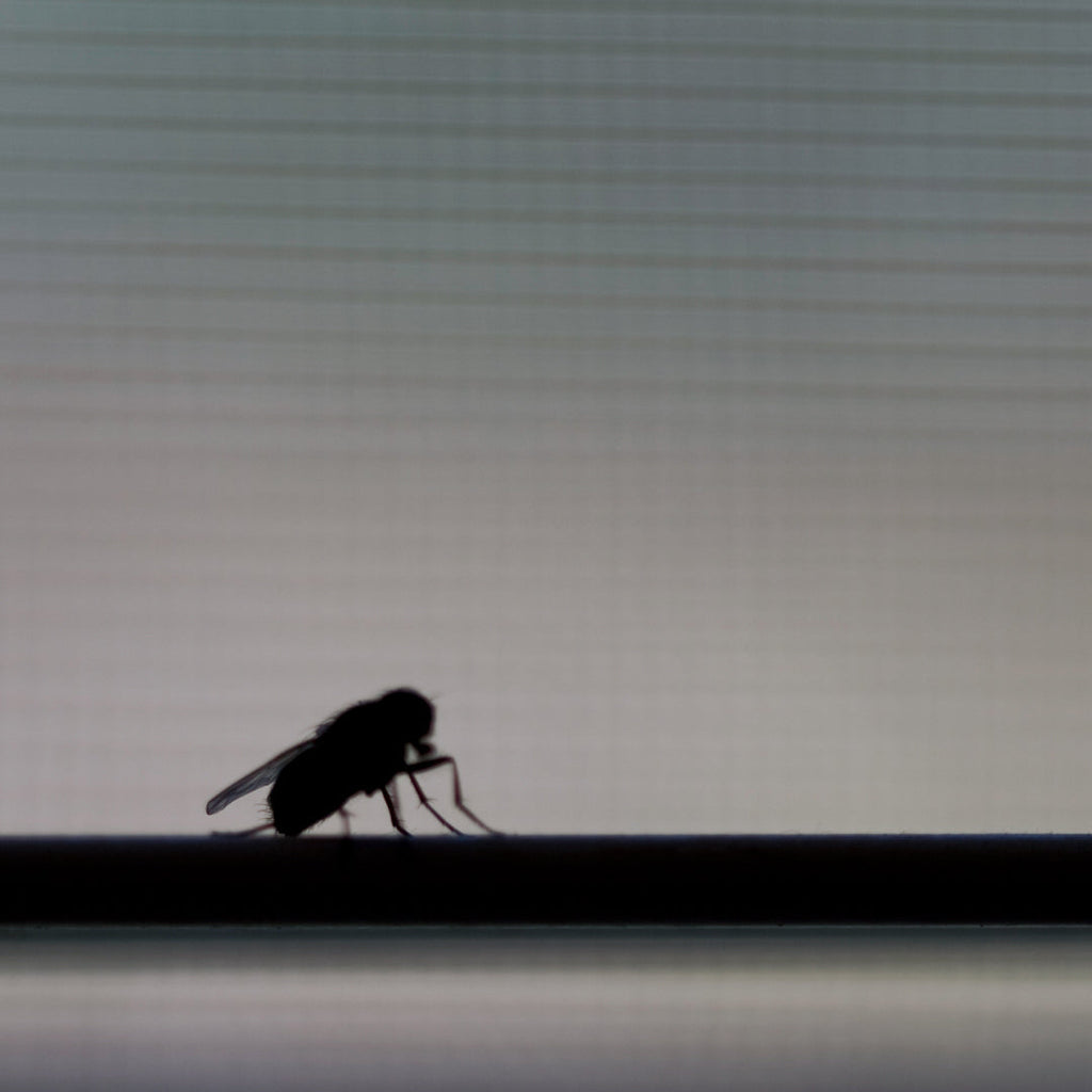 Why is pest control essential for warehouses?