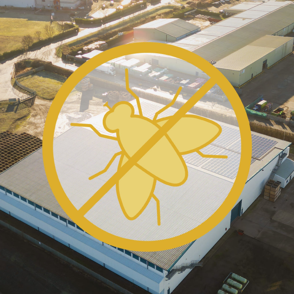Pest Control for Warehouses: Compare the Best Ways to Stop Pests Getting In