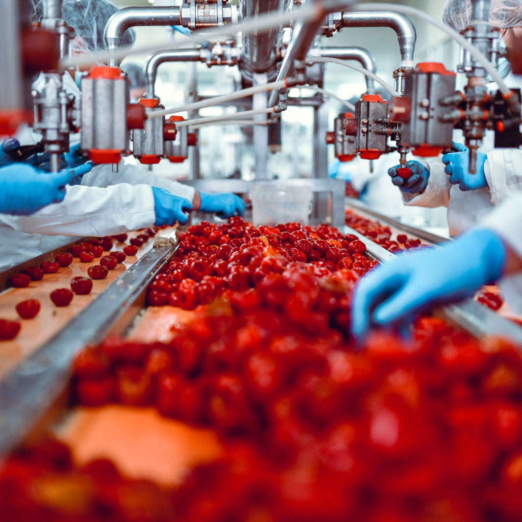 Workers in a food processing facility operating around antimicrobial PVC strip curtains, showcasing enhanced safety and hygiene measures.