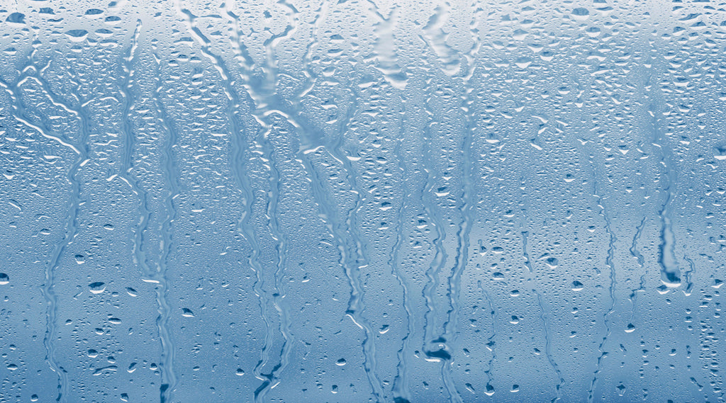 Combat Winter Condensation with Made-to-Measure Strip Curtains