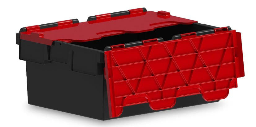 Attached Lid Containers with Coloured Lids
