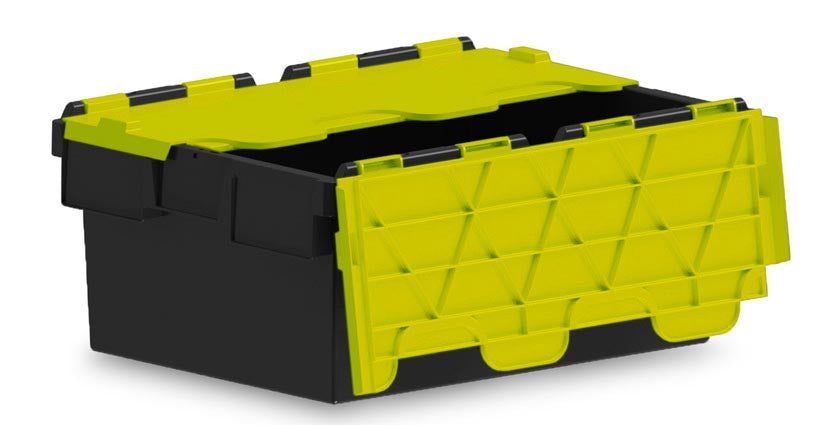 Attached Lid Containers with Coloured Lids