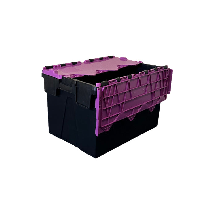 Attached Lid Containers with Coloured Lids
